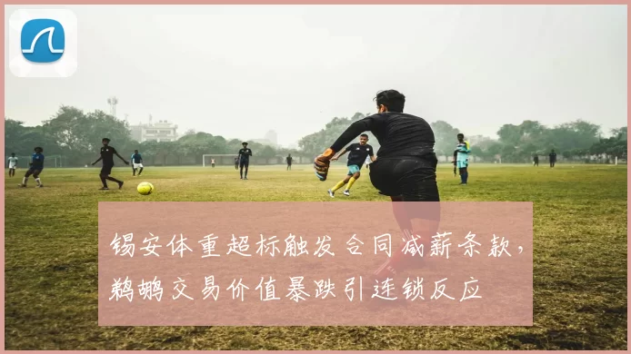 锡安体重超标触发合同减薪条款，鹈鹕交易价值暴跌引连锁反应