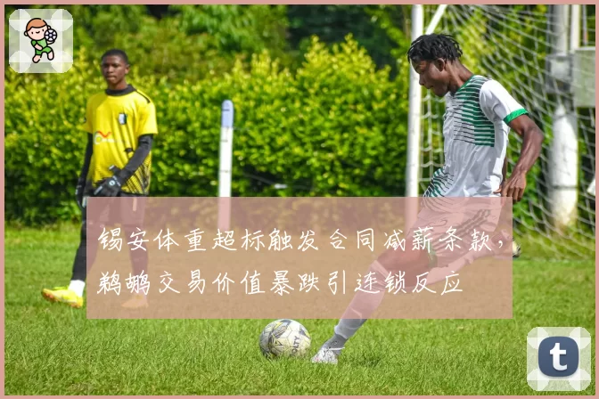 锡安体重超标触发合同减薪条款,鹈鹕交易价值暴跌引连锁反应